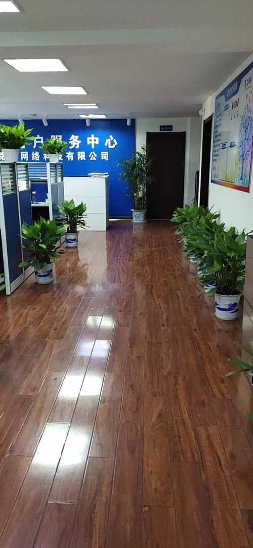 融合與創新 網絡信息技術開發與系統性服務的新范式